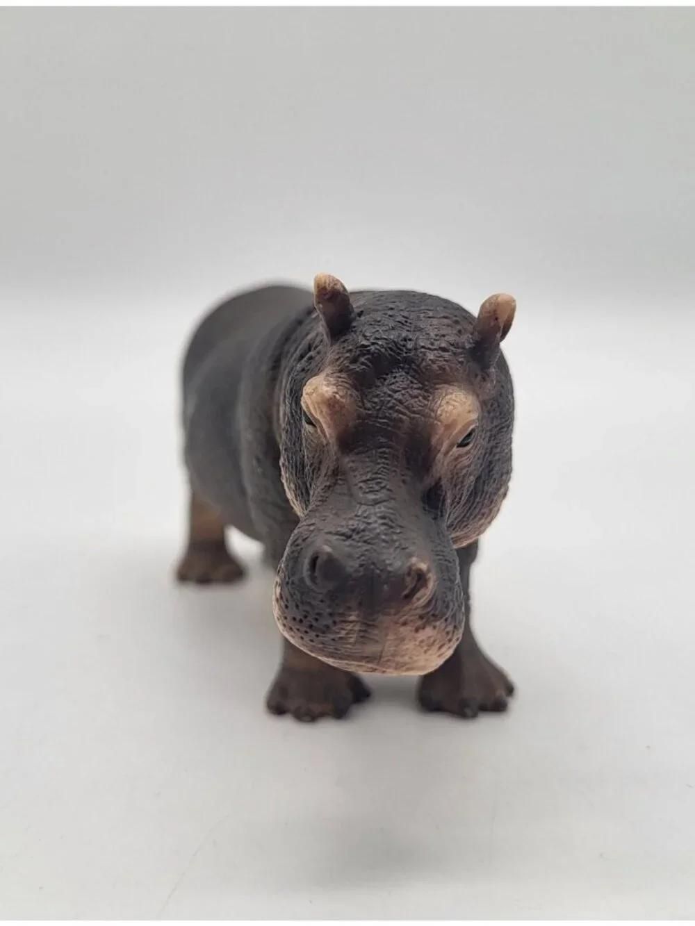 Schleich Hippo D-73527 Hippopotamus Mouth Closed Wildlife Toy Figure